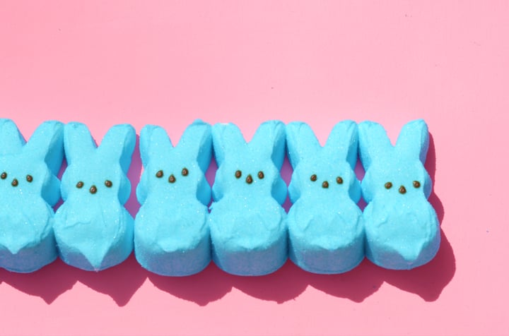Blue bunny peeps on pink background