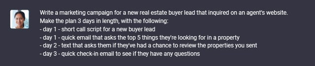 Prompting ChatGPT to create content for a real estate buyer campaign